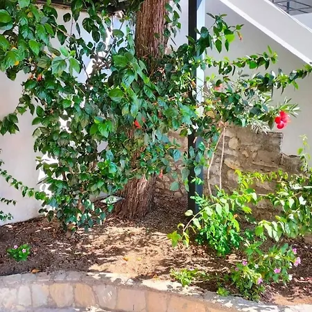 Turun Panorama House Marmaris